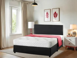 Fenston Leather Divan Bed