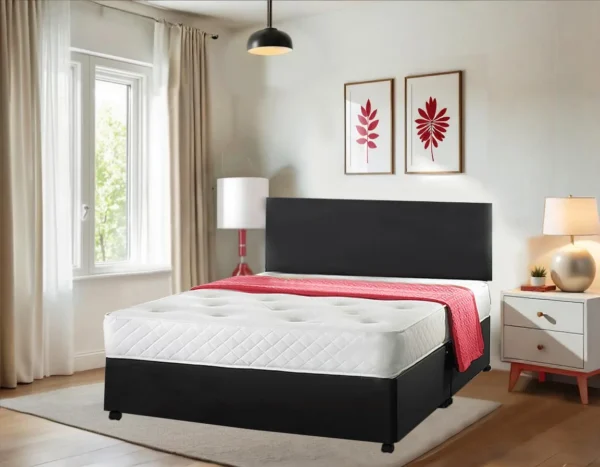 Fenston Leather Divan Bed